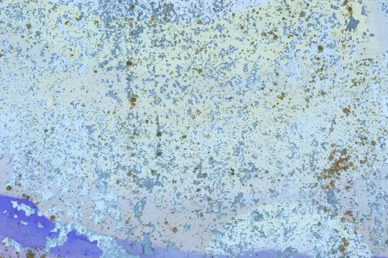 科研设备在生物材料科学中的多领域应用案例分析