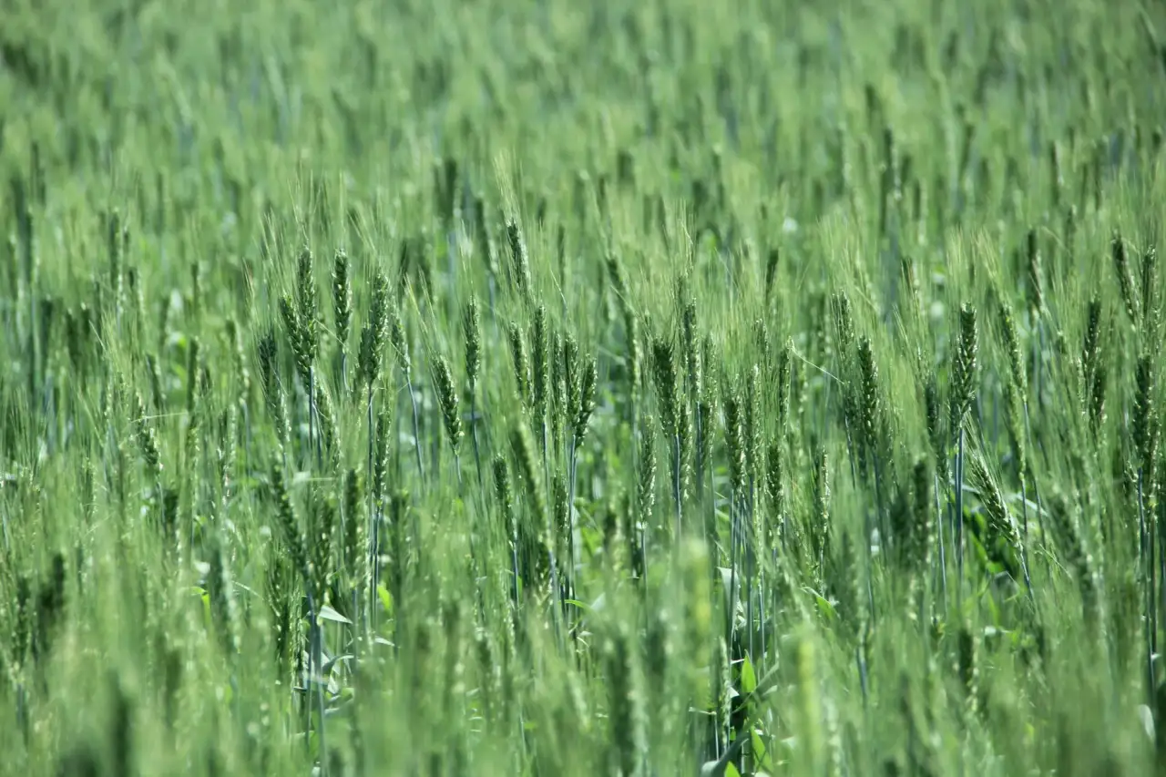 科研设备选型指南：生物与材料实验室核心仪器对比分析