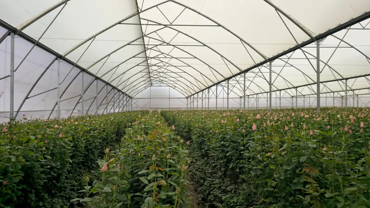 2024年科研设备选购指南：生物与材料领域关键仪器对比分析