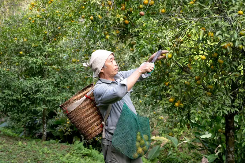 材料科学实验中扫描电镜的选型关键参数与操作要点