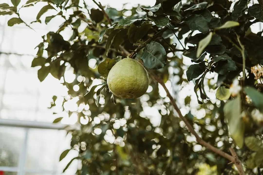 新型科研设备在化学合成中的应用案例与技术优势解析